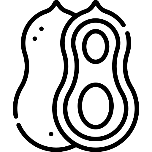 Peanut nut allergen vegan icon