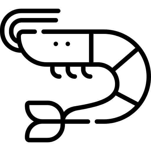 Shrimp aquatic animal kingdom animals icon