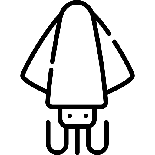 Squid animal squid aquatic icon