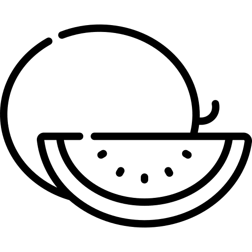 Melon allergen diet food icon