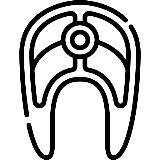 Salmon food tuna slice icon