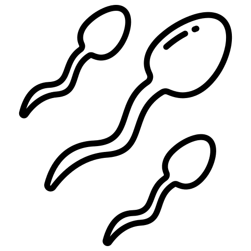 Sperms sperms fertilization reproduction icon