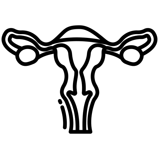 Uterus fallopian tubes healthcare and medical anatomy icon