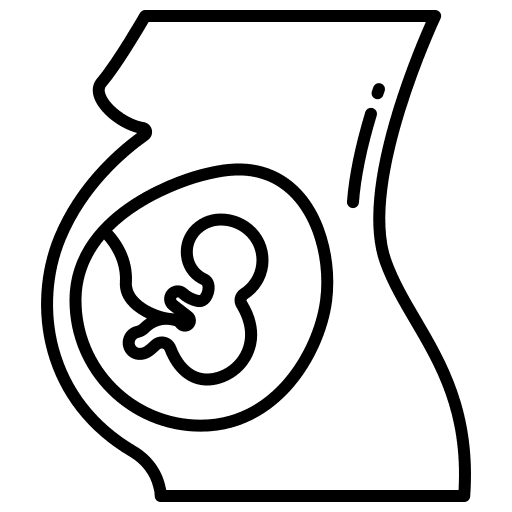 Pregnancy women female reproduction icon