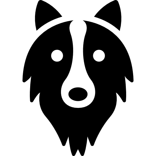 Border collie head head animals dog nose icon