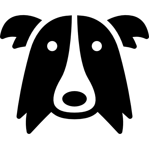 Border collie dog head face collie pet icon