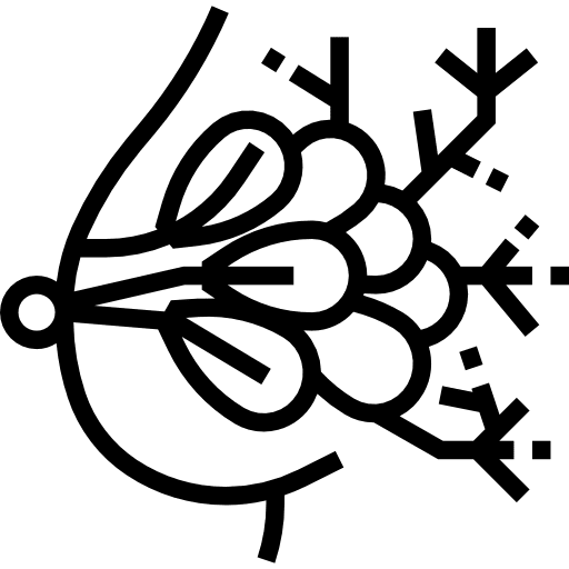 Mammary gland human body body organ mammary gland icon