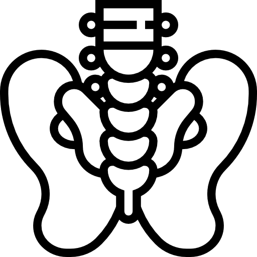 Pelvis bone medical pelvic bone icon