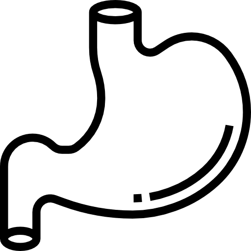 Stomach healthcare and medical gastroenterology human body icon