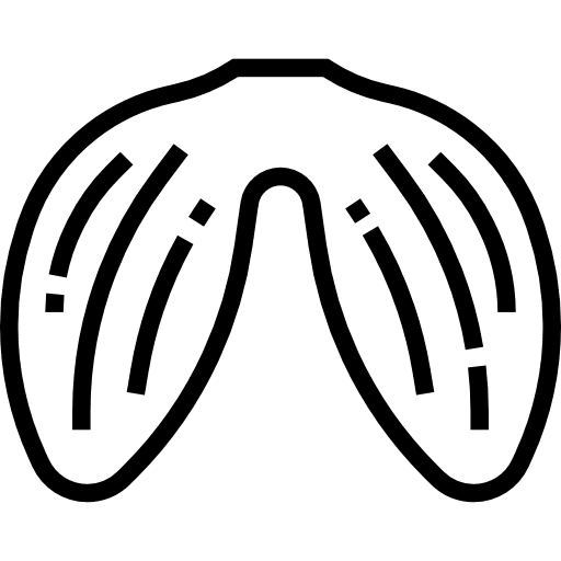 Body organ healthcare and medical human body healthcare icon