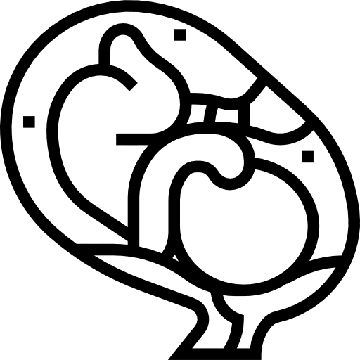 Fetus body parts motherhood anatomy icon