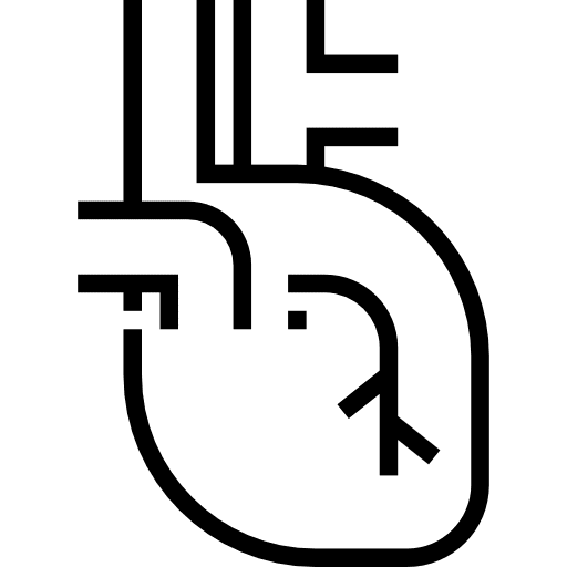 Heart body organ human body anatomy icon