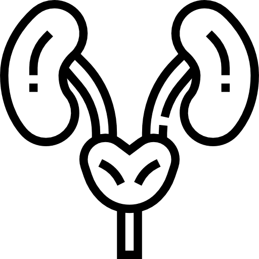 Kidneys kidneys human body healthcare icon