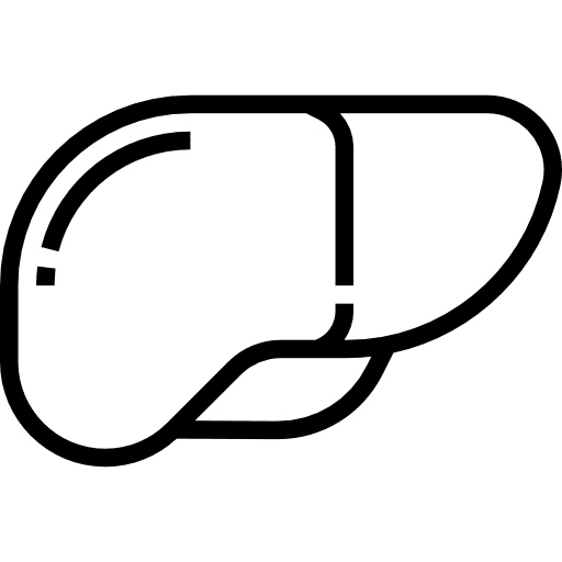 Liver anatomy body organ medical icon