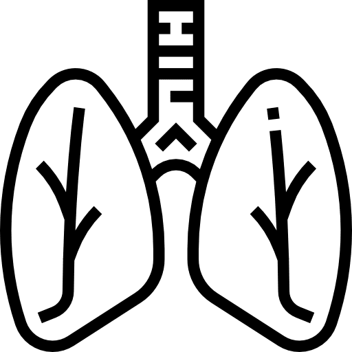 Lungs healthcare healthcare and medical lungs icon