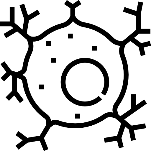 Neuron human body body organ neuron icon