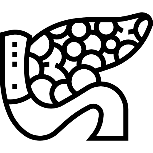 Pancreas healthcare healthcare and medical pancreas icon