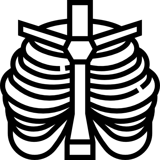 Thorax anatomy bones healthcare and medical icon