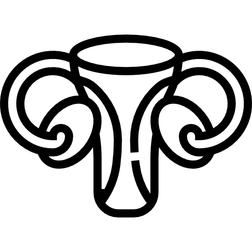 Uterus human body healthcare and medical anatomy icon