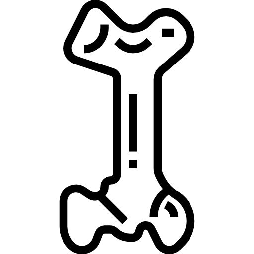 Bone body parts medical anatomy icon