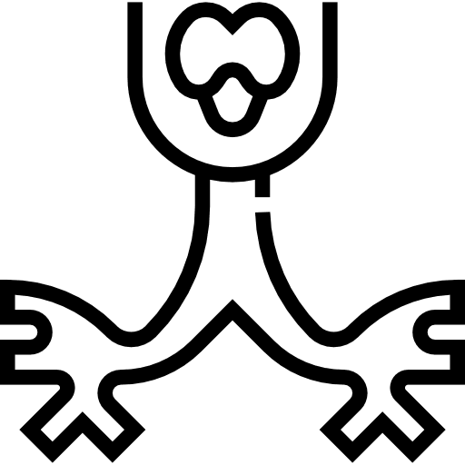 Bronchus anatomy bronchus healthcare icon