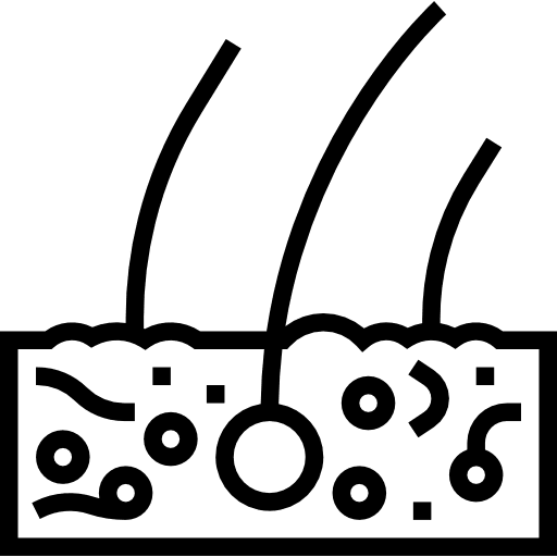 Dermis healthcare and medical healthcare dermis icon