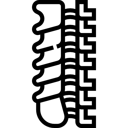 Spinal column healthcare and medical anatomy body parts icon