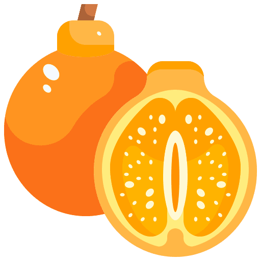 Orange healthy food food diet icon