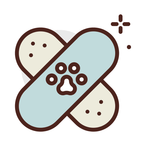 Wound medical treatment vet icon