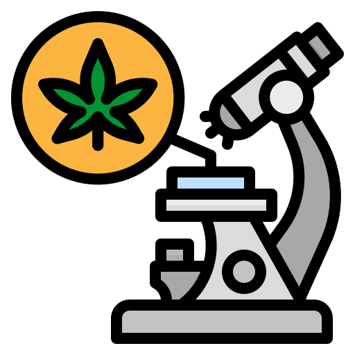 Cannabis healthcare and medical thc microscope icon