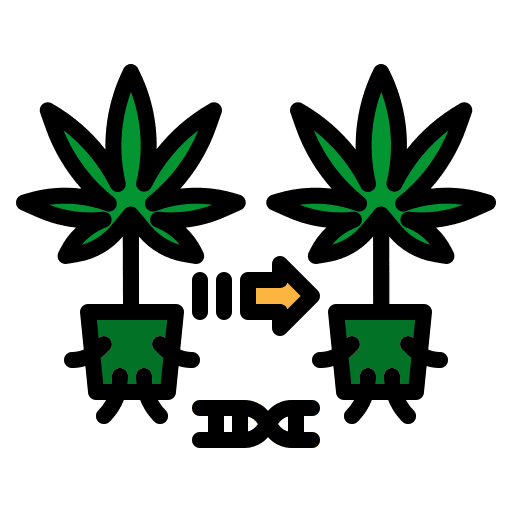 Cloning botanical nature healthcare and medical icon