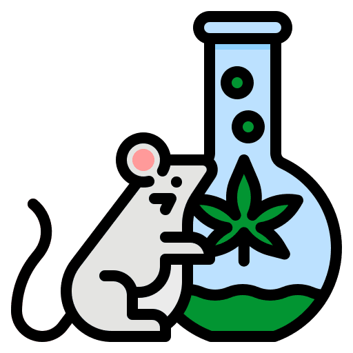 Laboratory mouse treatment science icon