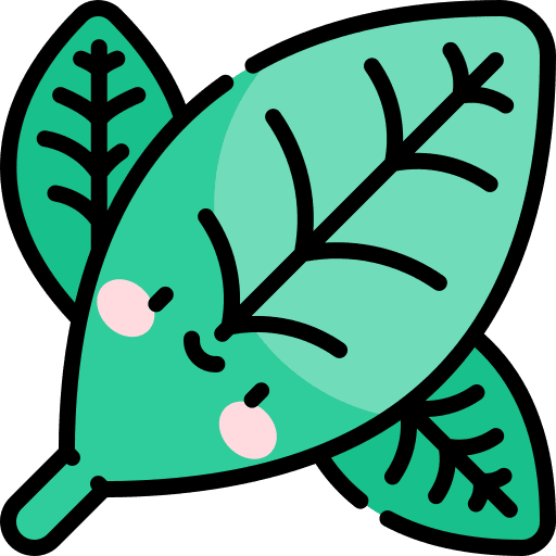 Coca leaves coca leaf botanic icon