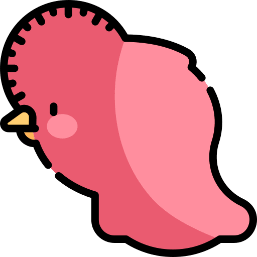 Rupicola bird animals wild life icon