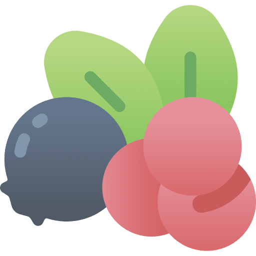 Berries food and restaurant berries berry icon