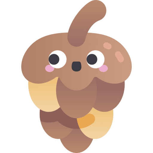 Pine cone nut cone dry icon