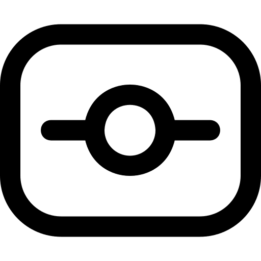 Passport biometric passport travel icon