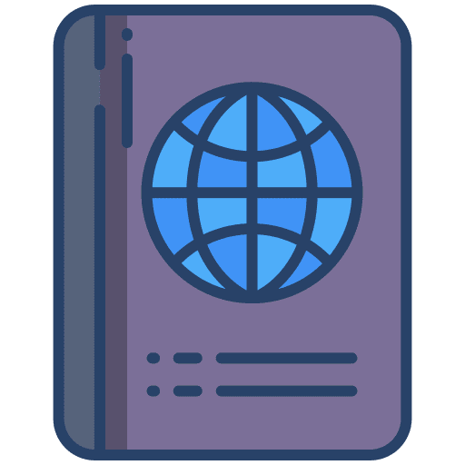 Passport identity security visa icon