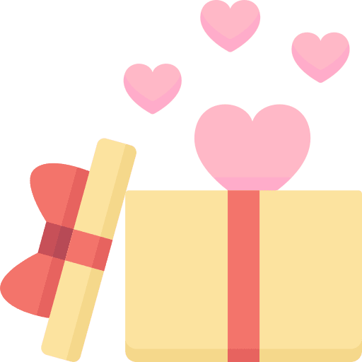 Gift box box gift box surprise icon