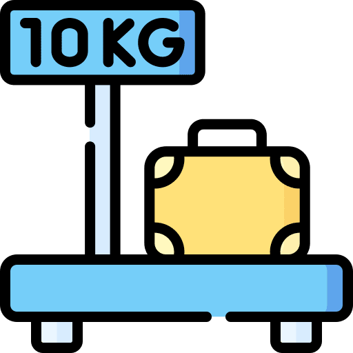 Scale area weight travel icon