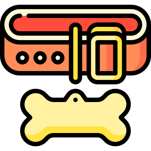 Collar fashion leash collar icon