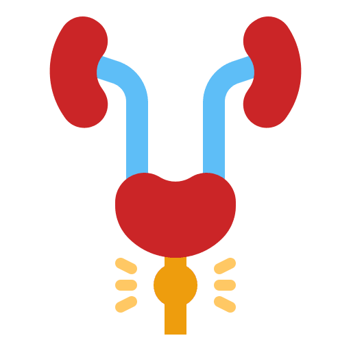 Prostate masculine testicle prostate icon