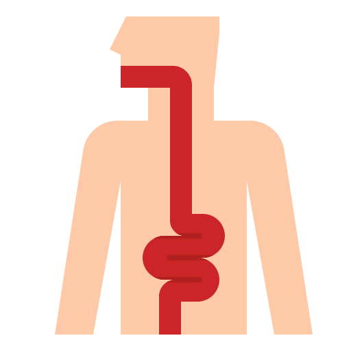 Intestine intestine disease sickness icon