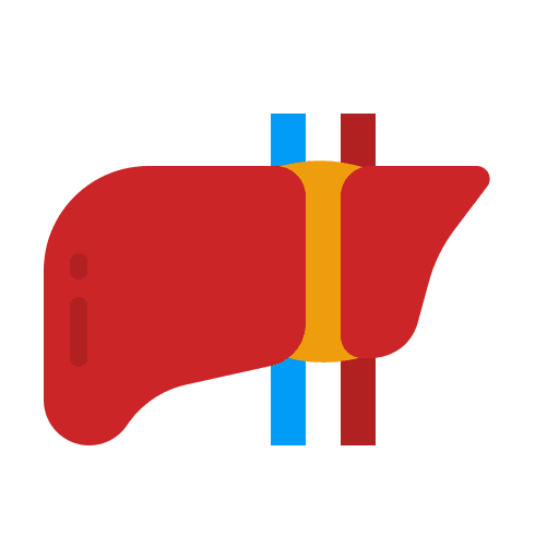 Liver cirrhosis organ anatomy icon