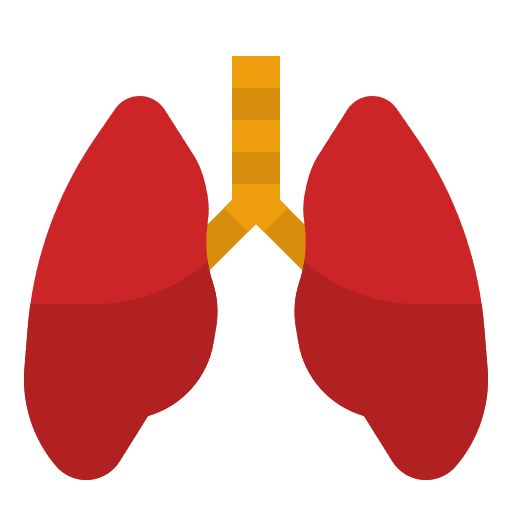 Lungs lungs organ human body icon