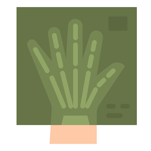 Radiography medical checkup radiology radiography icon