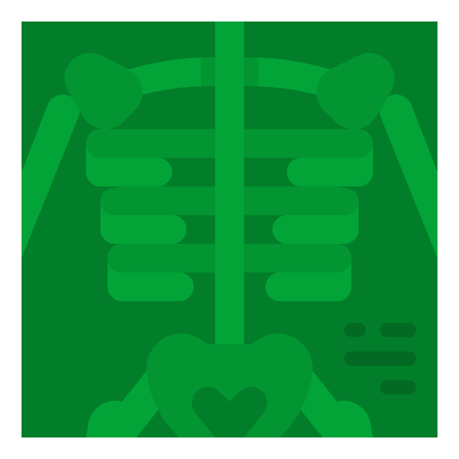 Skeleton healthcare and medical bone medical icon