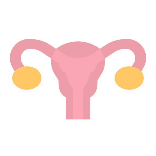 Uterus vagina ovaries ovary icon