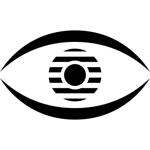 Eye with striped iris visualize view visualization icon