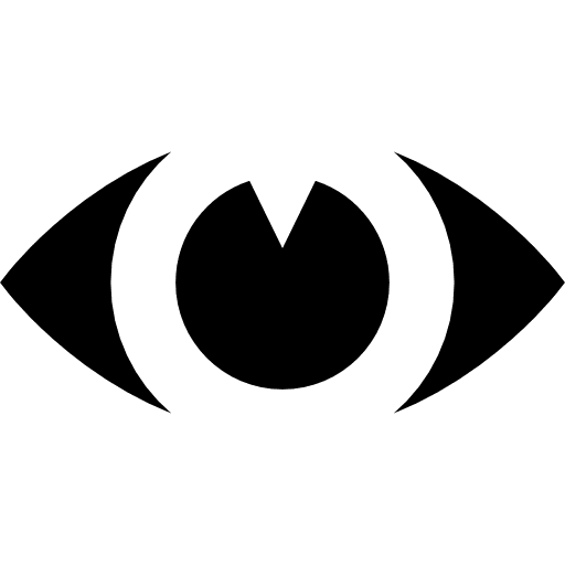 Eye visualization visualize view icon